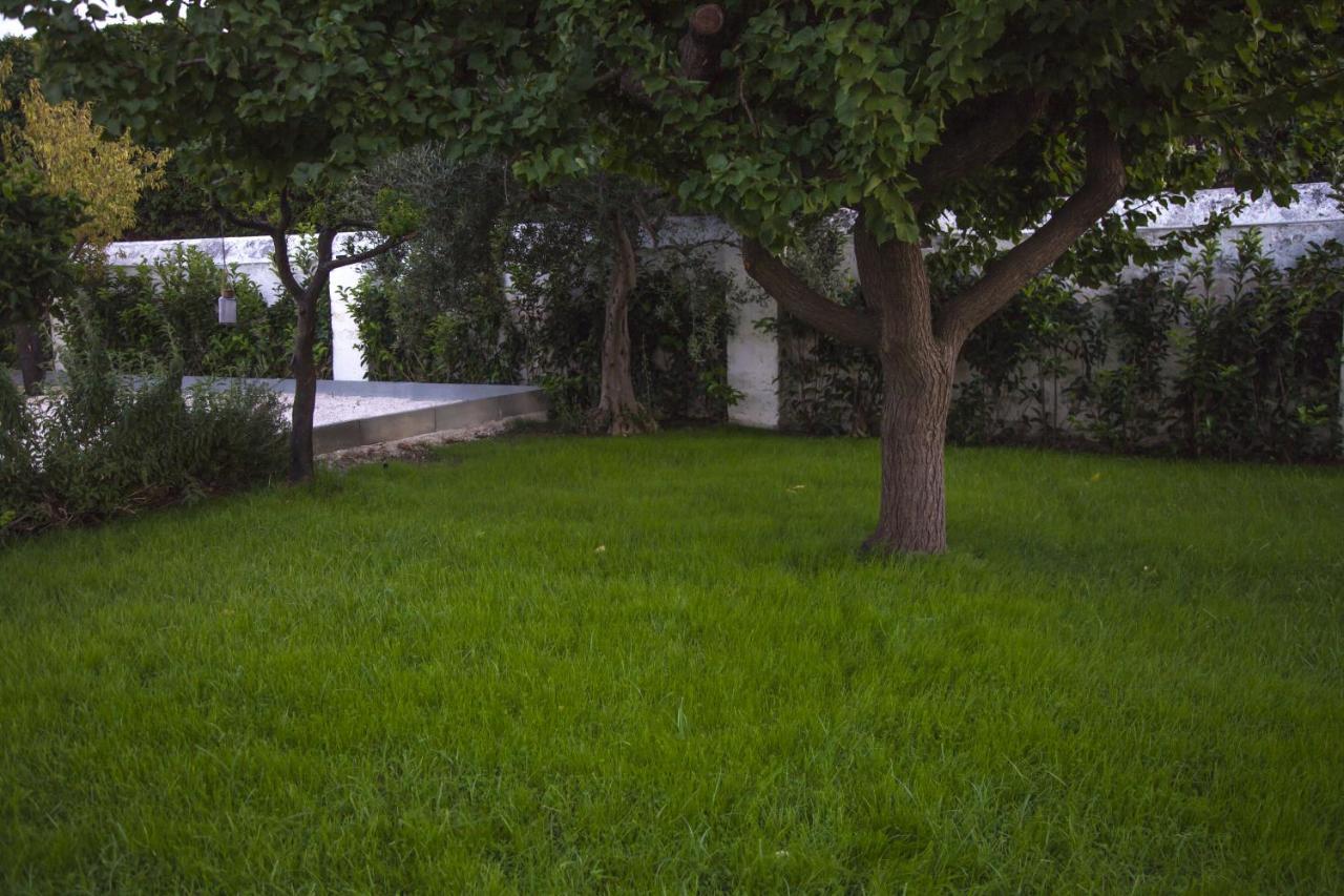 Villa Adelaide Suite & Room Torre A Mare Exterior photo