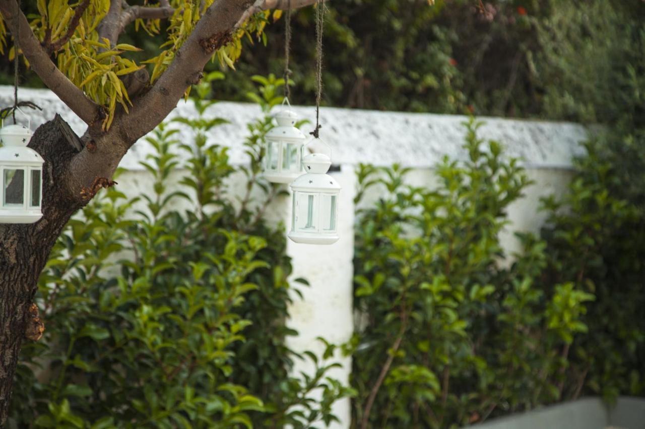 Villa Adelaide Suite & Room Torre A Mare Exterior photo