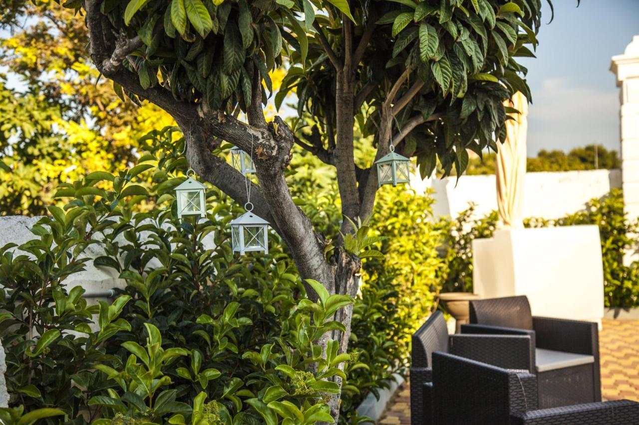 Villa Adelaide Suite & Room Torre A Mare Exterior photo